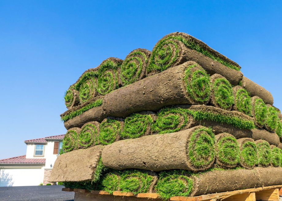 Atlanta Sod Installation That Transforms Your Lawn Into a Living Landscape
